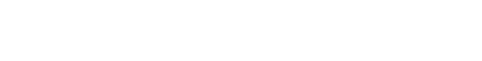 Logo NG Solutions